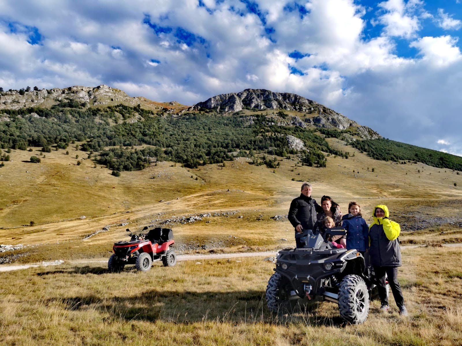 Planina